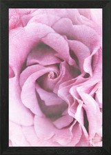 textured photography of a pink