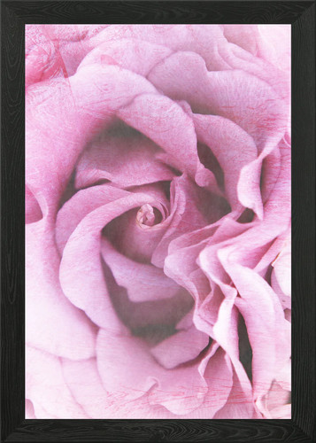 Textured photography pink - of,
