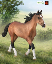 Standardbred Pacer Stallion