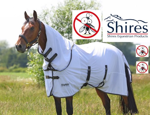 Mesh fly rug shires tempest - fly,