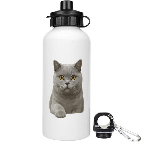 British shorthair cat - 'british, cat'