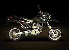 A4 photo MZ Baghira Black Panther 1