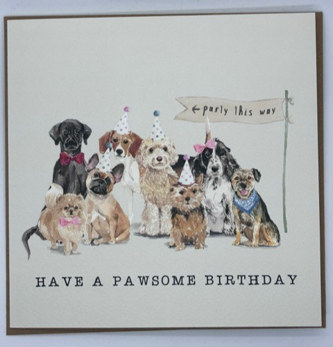 Funny dog birthday card - birthday,