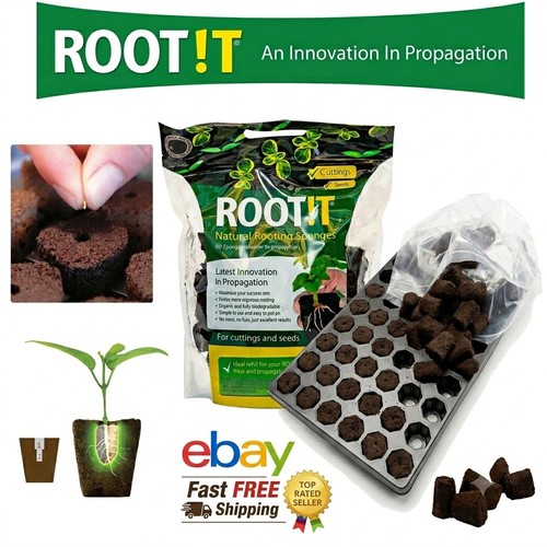 Root propagation wet - root!t,