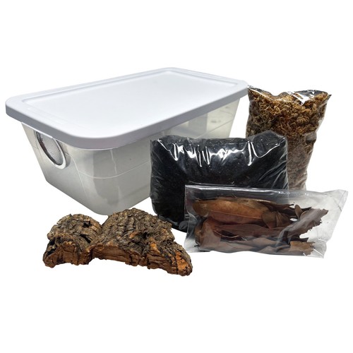Deluxe isopod habitat - isopod,