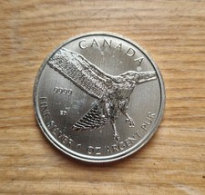2015 Canadian Red-Tailed Hawk