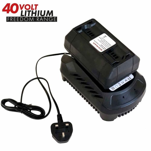 Lithium ion 40v battery - lithium-ion,
