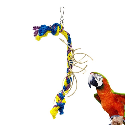 Bird cage accessories parrot - bird,