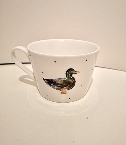 Sainsbury duck mallard - duck,