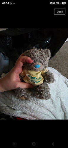 You tatty teddy grey - me, to