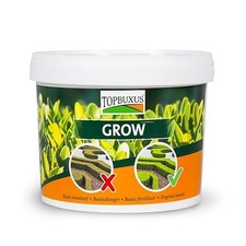 GROW - Professional Boxwood