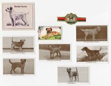 BORDER TERRIER VINTAGE DOG COLLECTIBLE CARDS STAMP AND BAND