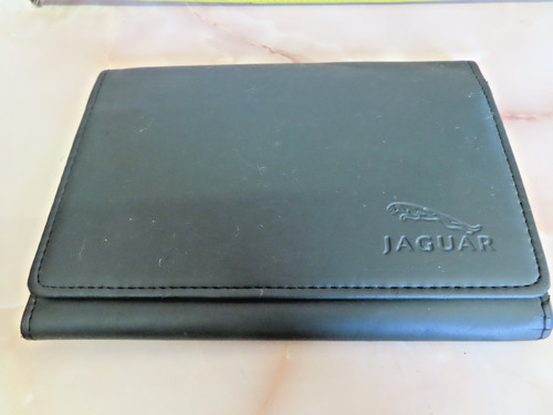 Jaguar leaping cat - cat,