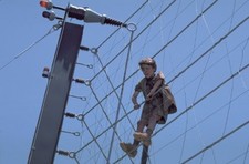 Jurassic Park (+ Blu-ray) [Blu-ray 3D] - DVD  4YVG The Cheap Fast Free Post