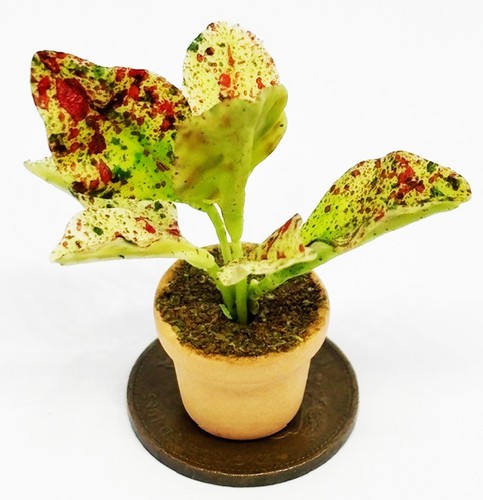Dolls house silver king plant - dolls,