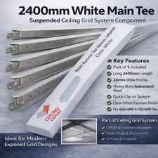 Pack of 5 White Main Tee