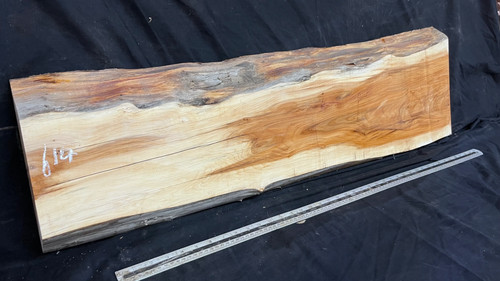 Hardwood yew slab - hardwood, yew,