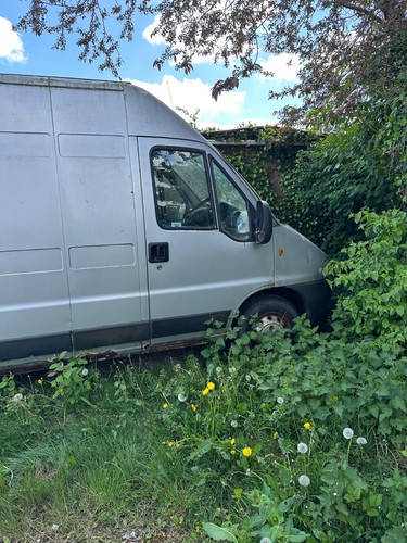 Fiat ducato van for - van,