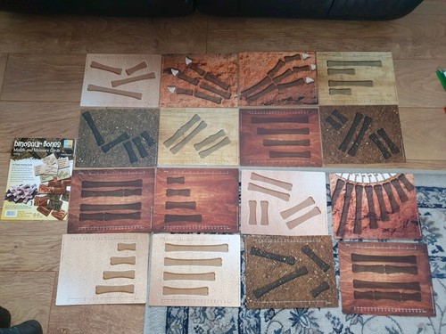 Dinosaur bones match measure - bones,