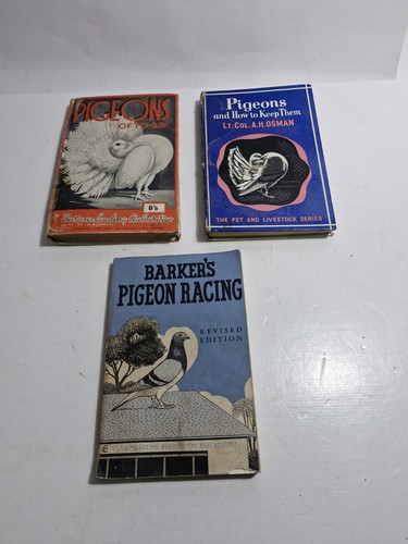 Vintage pigeon fancier - pigeon, books