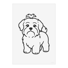 'Havanese Dog' Wall Art Poster
