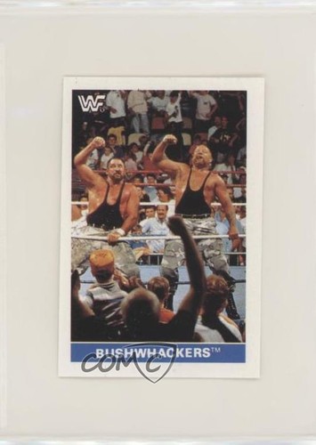 1991 diamond publish - 1991, wwf