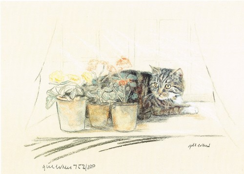 Limited edition tabby - tabby, cat