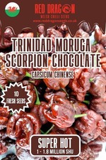 10 Trinidad Scorpion Chocolate Chilli Seeds – Super Hot Pepper – UK Seller
