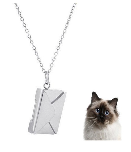 Birman cat pet - cat, silver