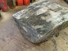 Spalted Turkey Oak Bowl Blank