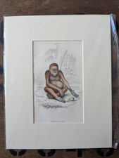 1835 Jardine Antique Monkey