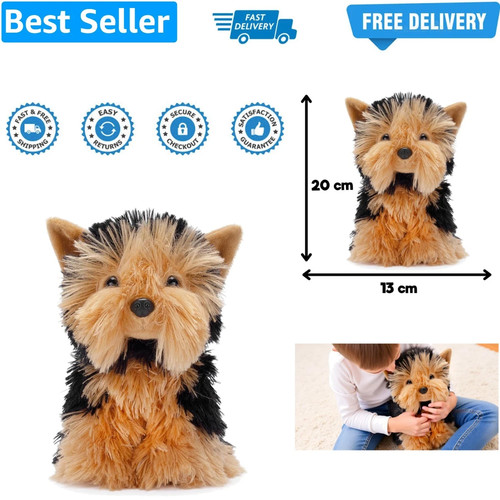Rob the yorkshire terrier - rob,