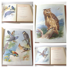 1916 thorburn british birds - thorburn's,