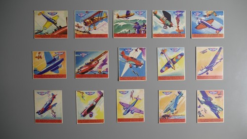 Sky birds chewing gum - sky,