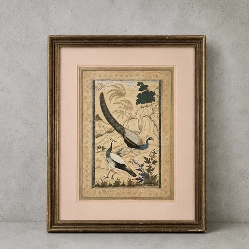 Ustad mansur mughal - ustad, peacock