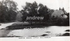 Gaston green little - green,
