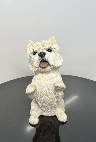 West highland terrier westie - terrier,