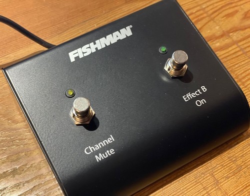 Fishman dual footswitch for - dual,