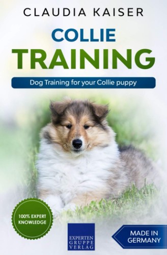 Collie training dog - training:,