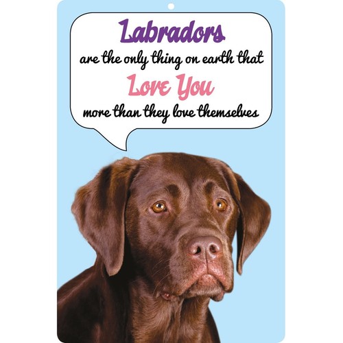 Chocolate labrador dog sign - labrador,