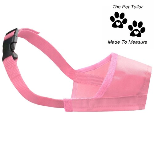 Doberman pinscher dog - dog, muzzle