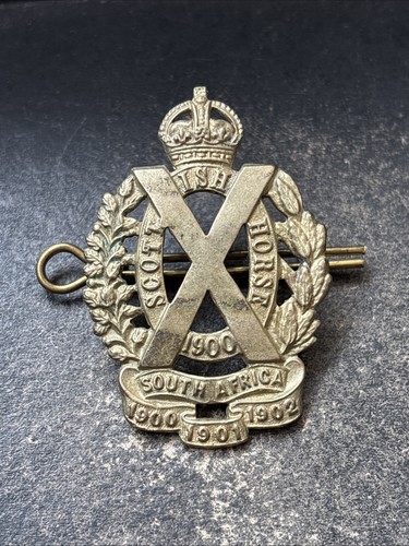 Scottish horse yeomanry - horse,