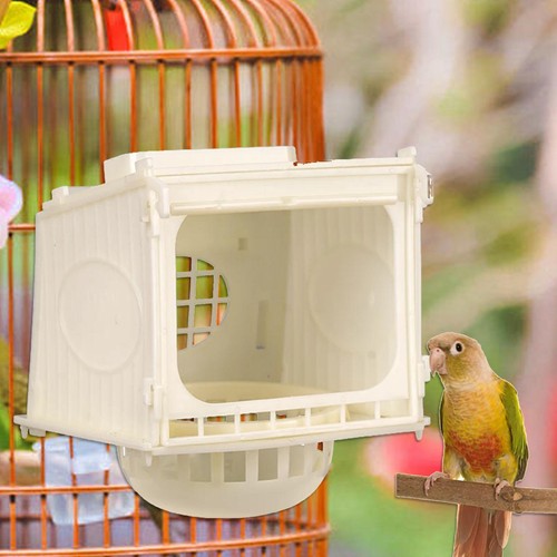 Parrot breeding box smooth - parrot,