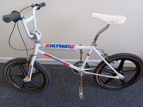 Raleigh burner skyway - raleigh,