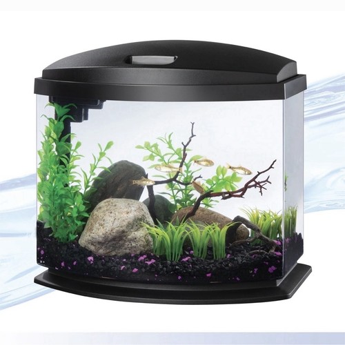 Aqueon minibow gallon - aqueon,