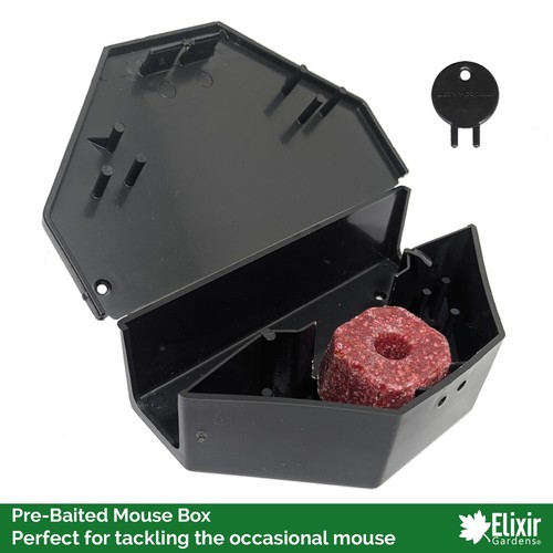 Mouse bait box with - mouse,