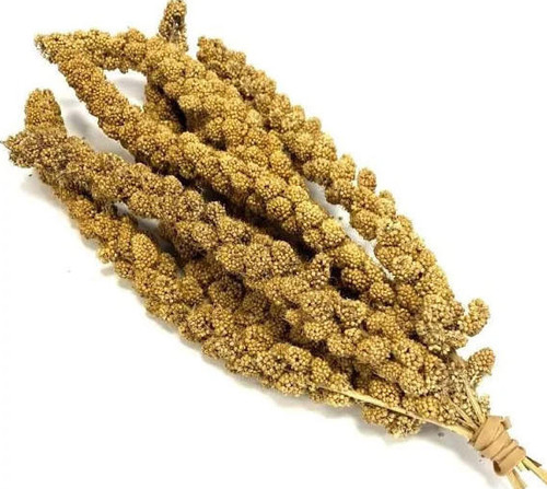 Premium millet spray springs - premium,