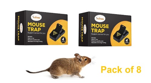 Set professional mouse - of,