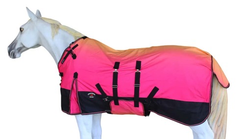 Horse 1200 turnout - horse,