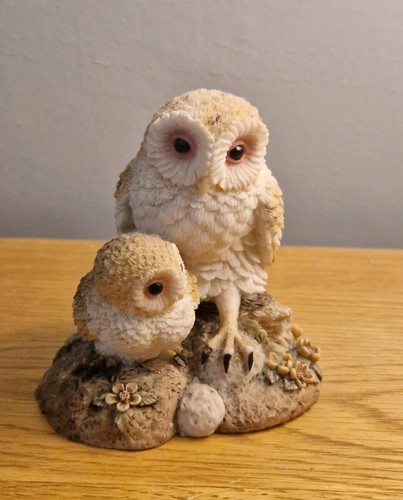Barn owl baby by regency - baby,